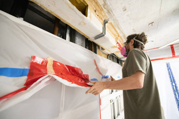 Reliable Liberty, UT Mold Removal Solutions